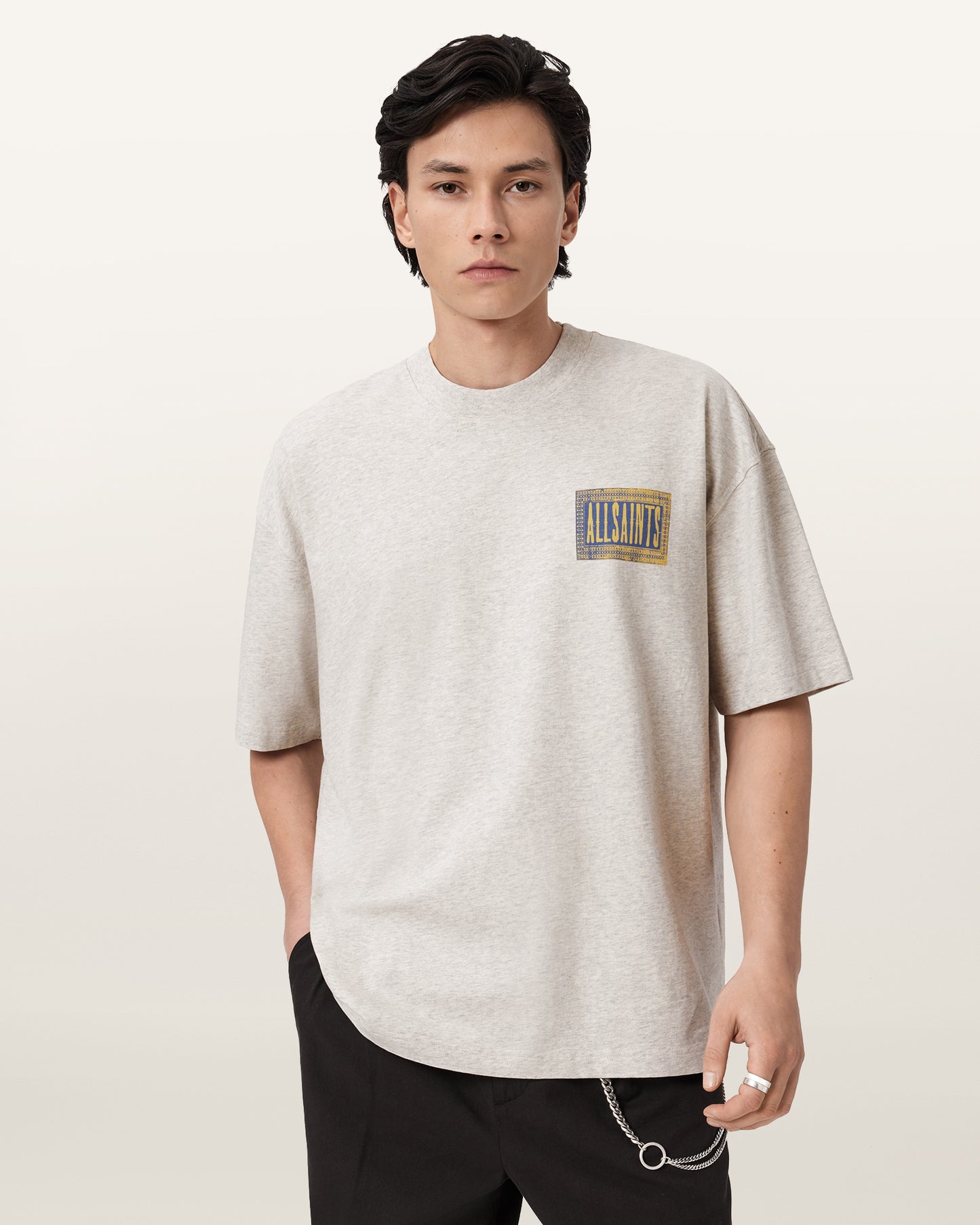 Pebble Grey Color Ayedee SS Crew from AllSaints