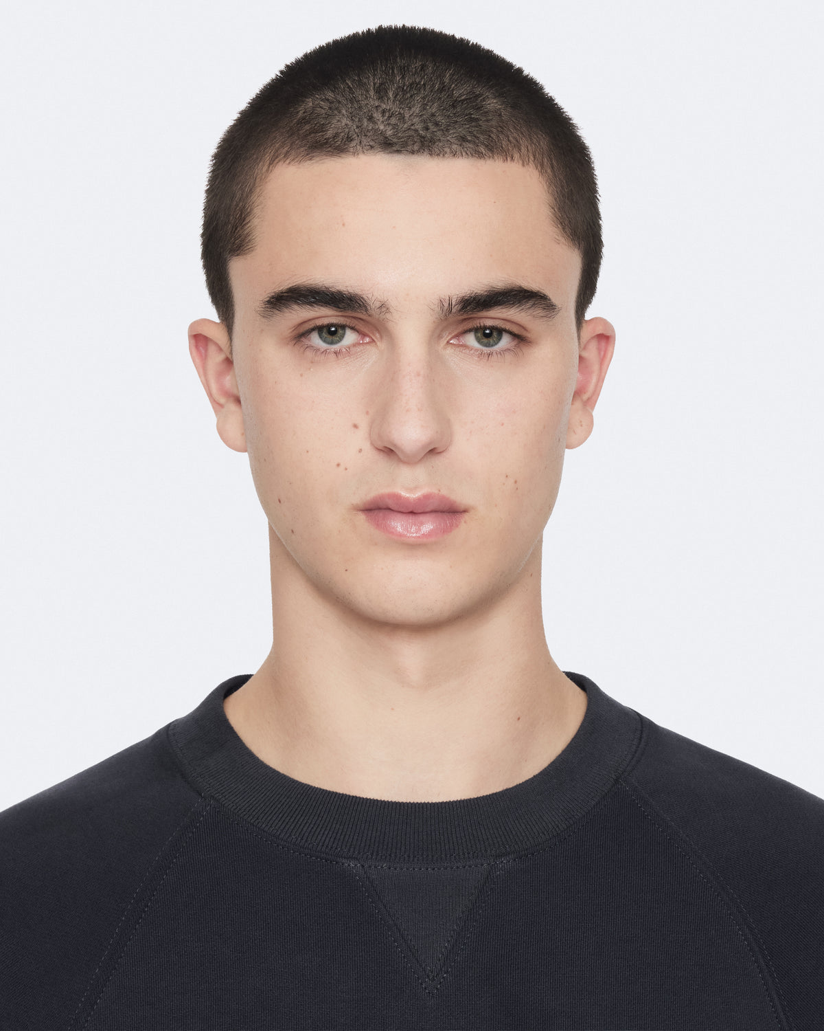 Harlow Crew Sweatshirt