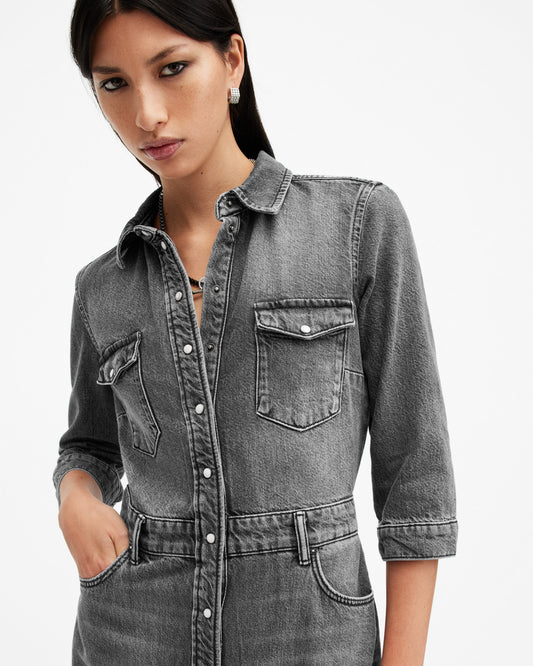 Blair LS Denim Dress