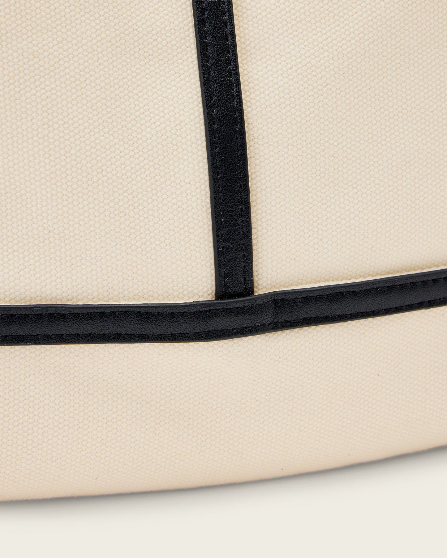 Asha Mini Canvas Bag
